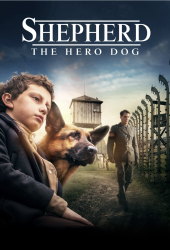 Shepherd Hero Dog